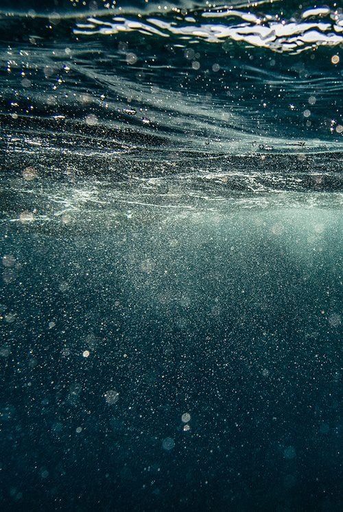 underwater photo beneath the surface what inspires jayne moore to create incredible emotive jewelry 