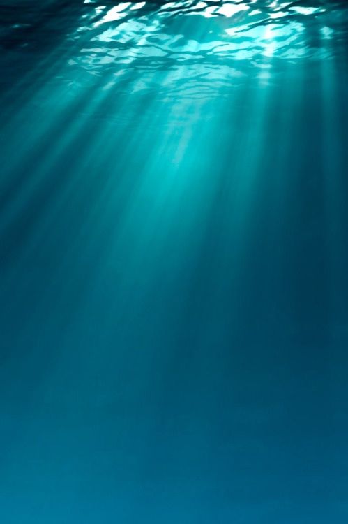 underwater photo beneath the surface what inspires jayne moore to create incredible emotive jewelry 